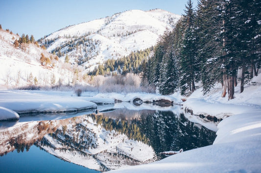 Winter Car Care: Best Motor Oils and Treatments for Cold Weather - cermatreatment.com
